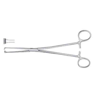 Forcep Tissue Allis Meister-Hand 8" 6x7 Teeth Stainless Steel Ea
